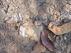 दंतेवाड़ा में नक्सल साजिश नाकाम, 5 किलो का IED बरामद कर मौके पर किया गया नष्ट |