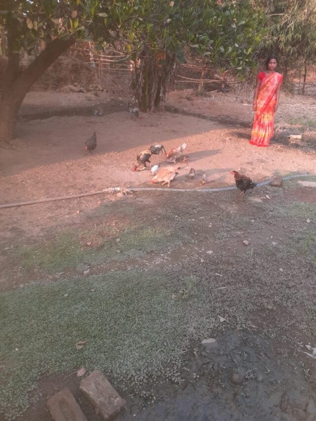 1773409929_7d5794638c851f0b5311