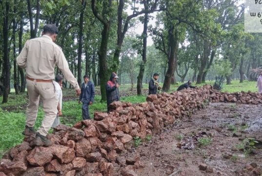 वन विभाग की बड़ी कार्रवाई: अवैध अतिक्रमण हटाकर वनभूमि कराई मुक्त, तत्काल शुरू किया गया पौधरोपण