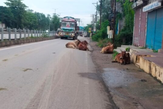 टोल टैक्स की गैर कानूनी वसूली के बाद भी मेंटेनेंस नहीं, रखरखाव की कमी के कारण लगातार हो रहे हैं कुम्हारी नेशनल हाईवे के सर्विस रोड पर हादसे